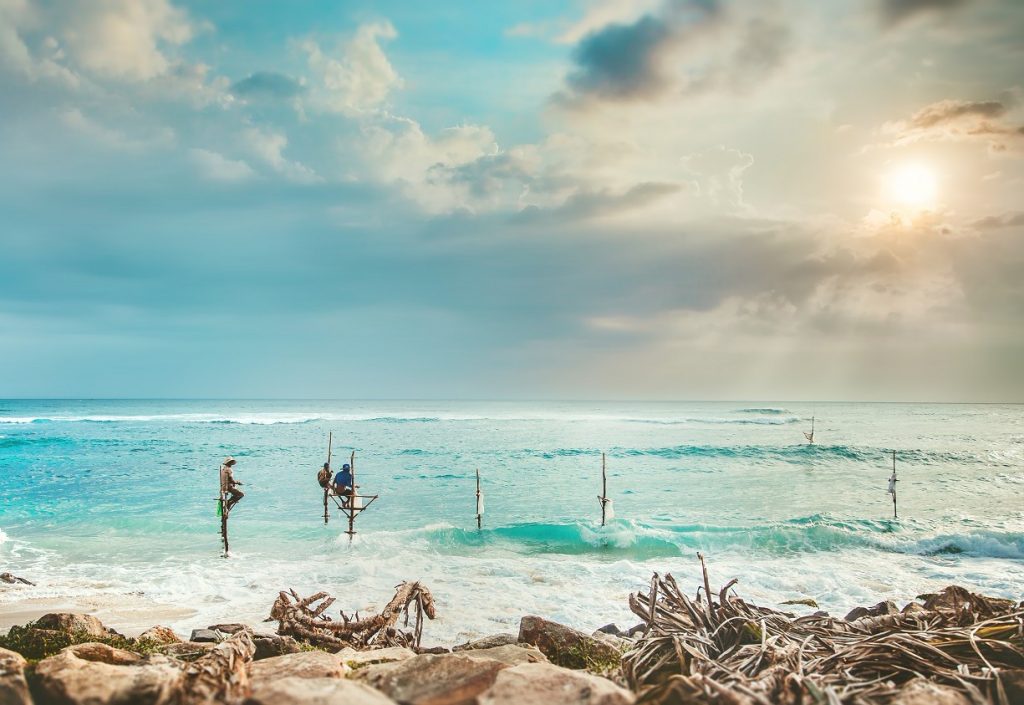 Down South Beach_STD Tourism