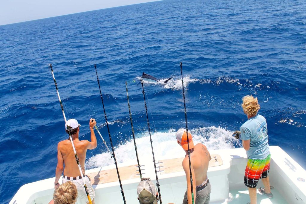 Open Ocean Fishing