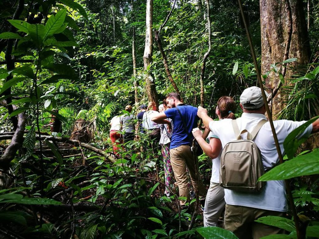 Trekking in the Real Jungle