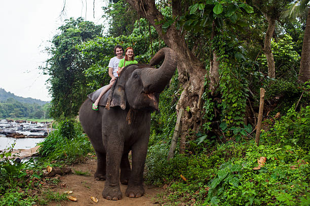 Young couple tourists to ride on an elephant in Pinnewala, Sri Lanka.