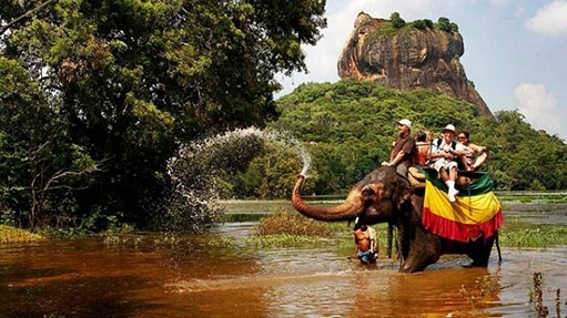 elephant riding sri lanka