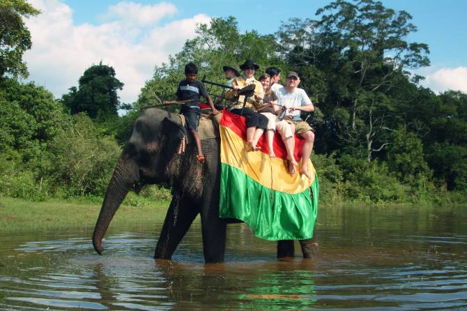 elephant riding